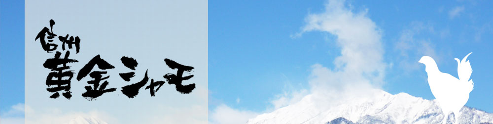 信州黄金シャモ